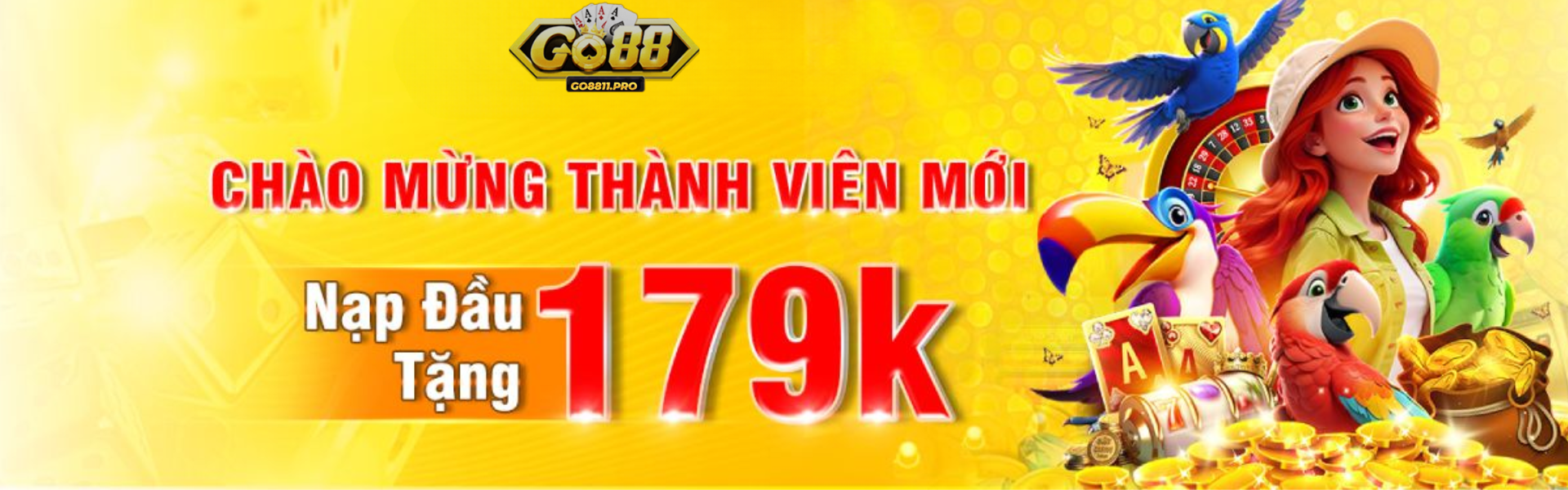 Banner www.honguyenngoc.com