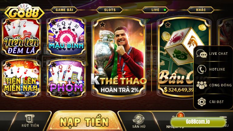 Banner www.honguyenngoc.com