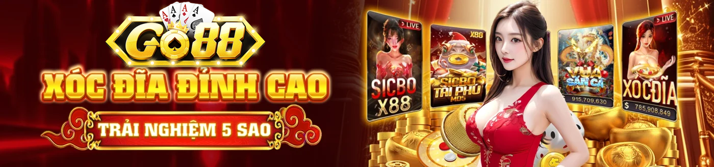 Banner www.honguyenngoc.com